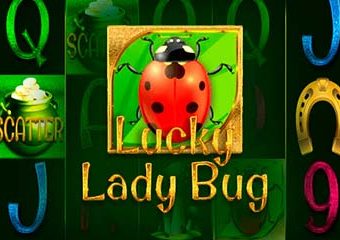 Lucky Lady Bug